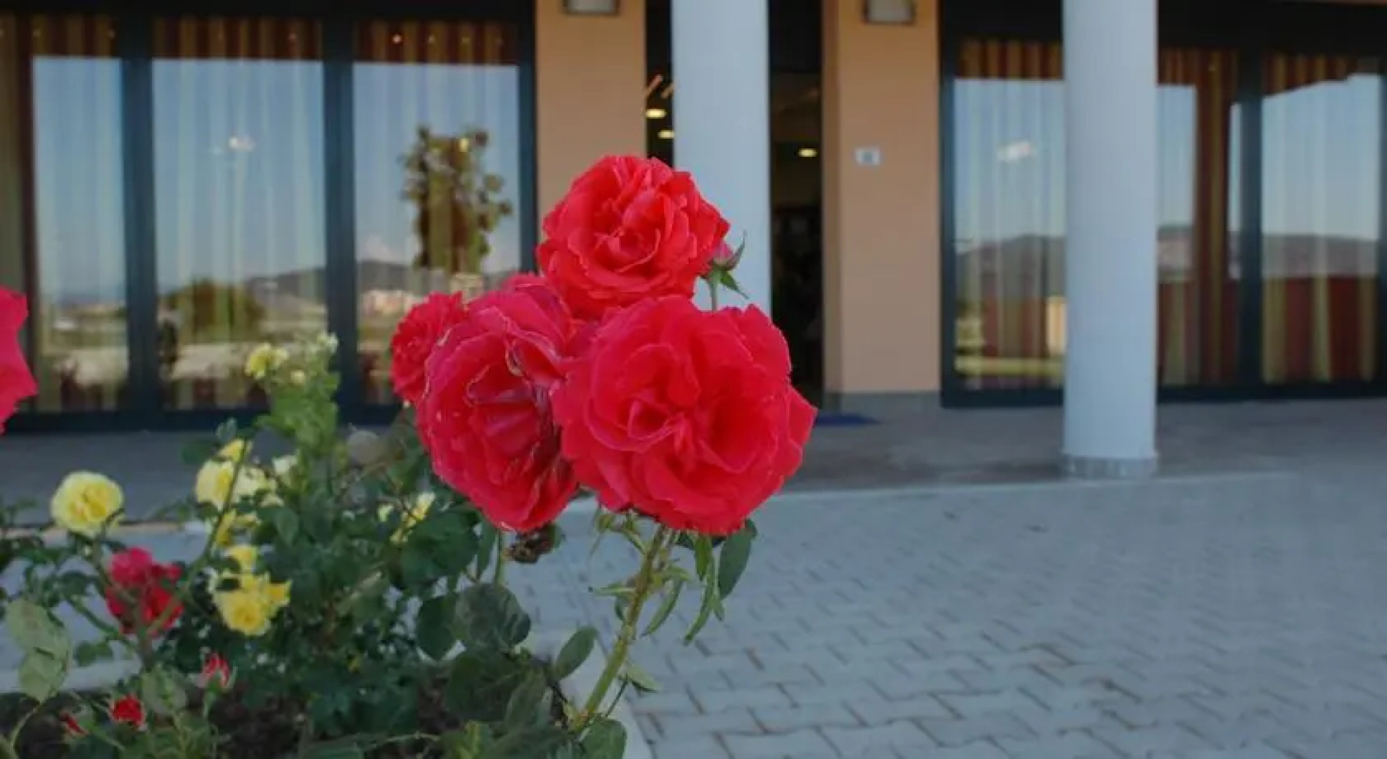 Hotel Rosa dei Venti