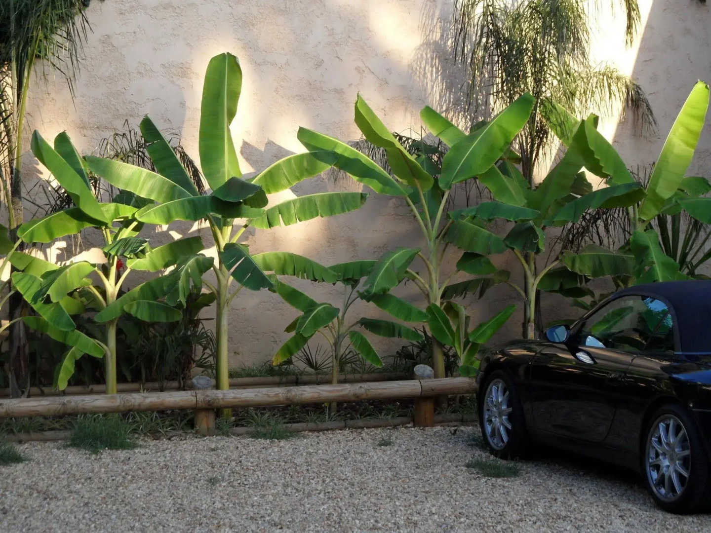 Residence Veles Plage