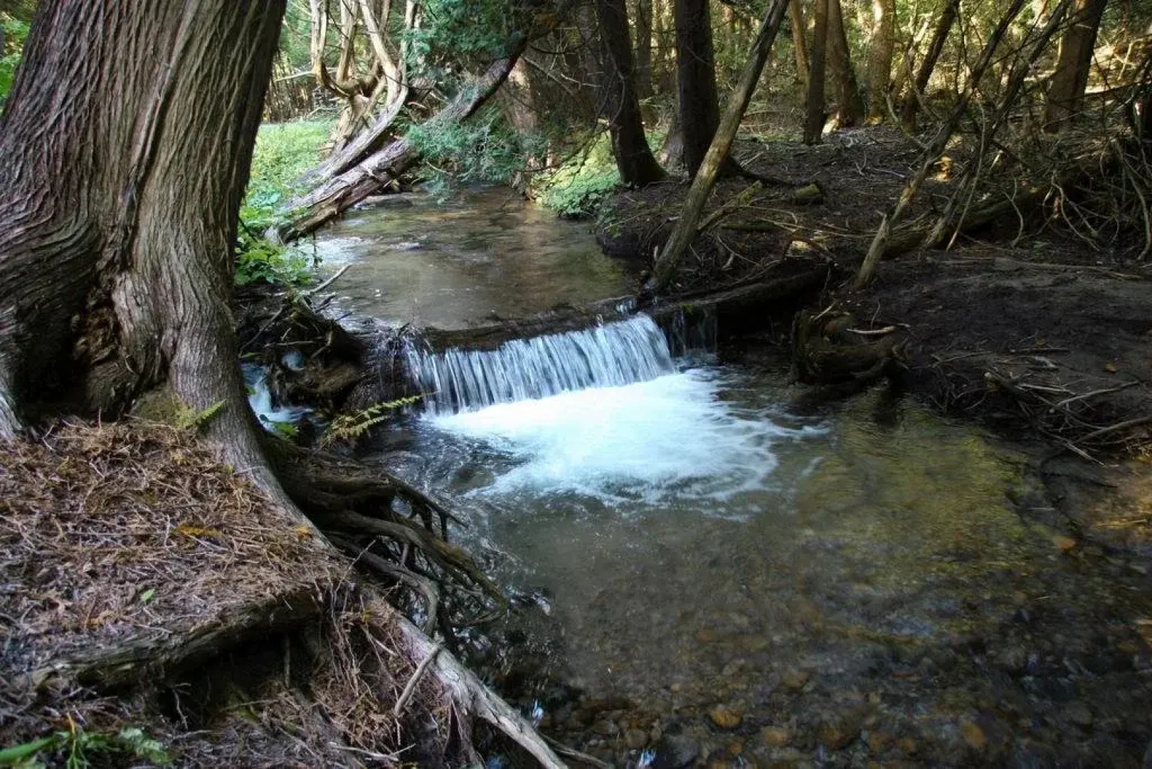 The Hive Centre and Stay