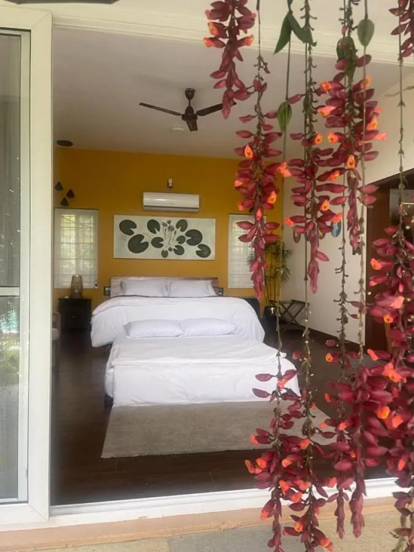 Orchid Tree Wellness Retreat