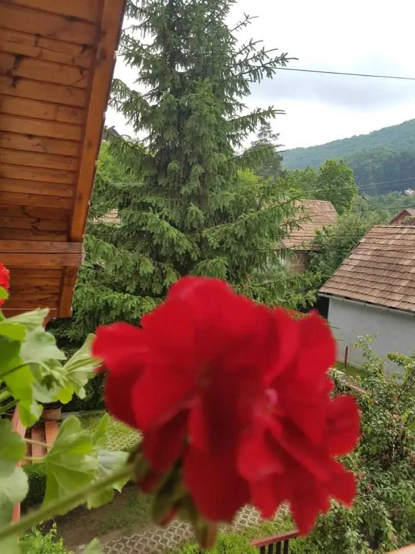 Pensiunea Lőrincz *** Panzió