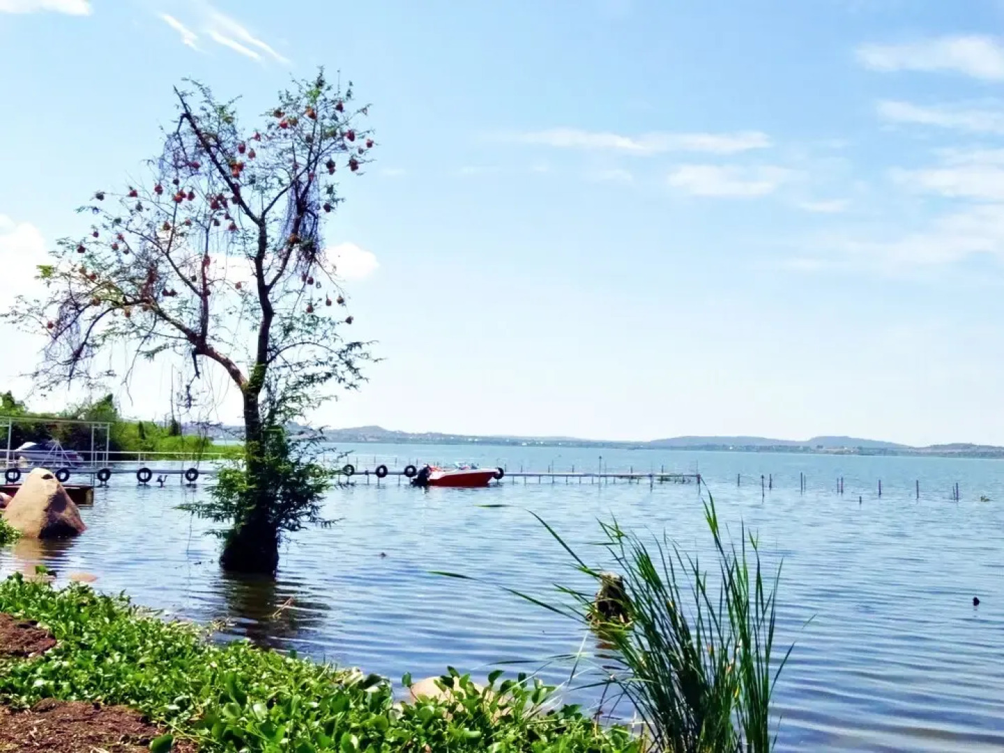 Rocky Bay Resort  Camping