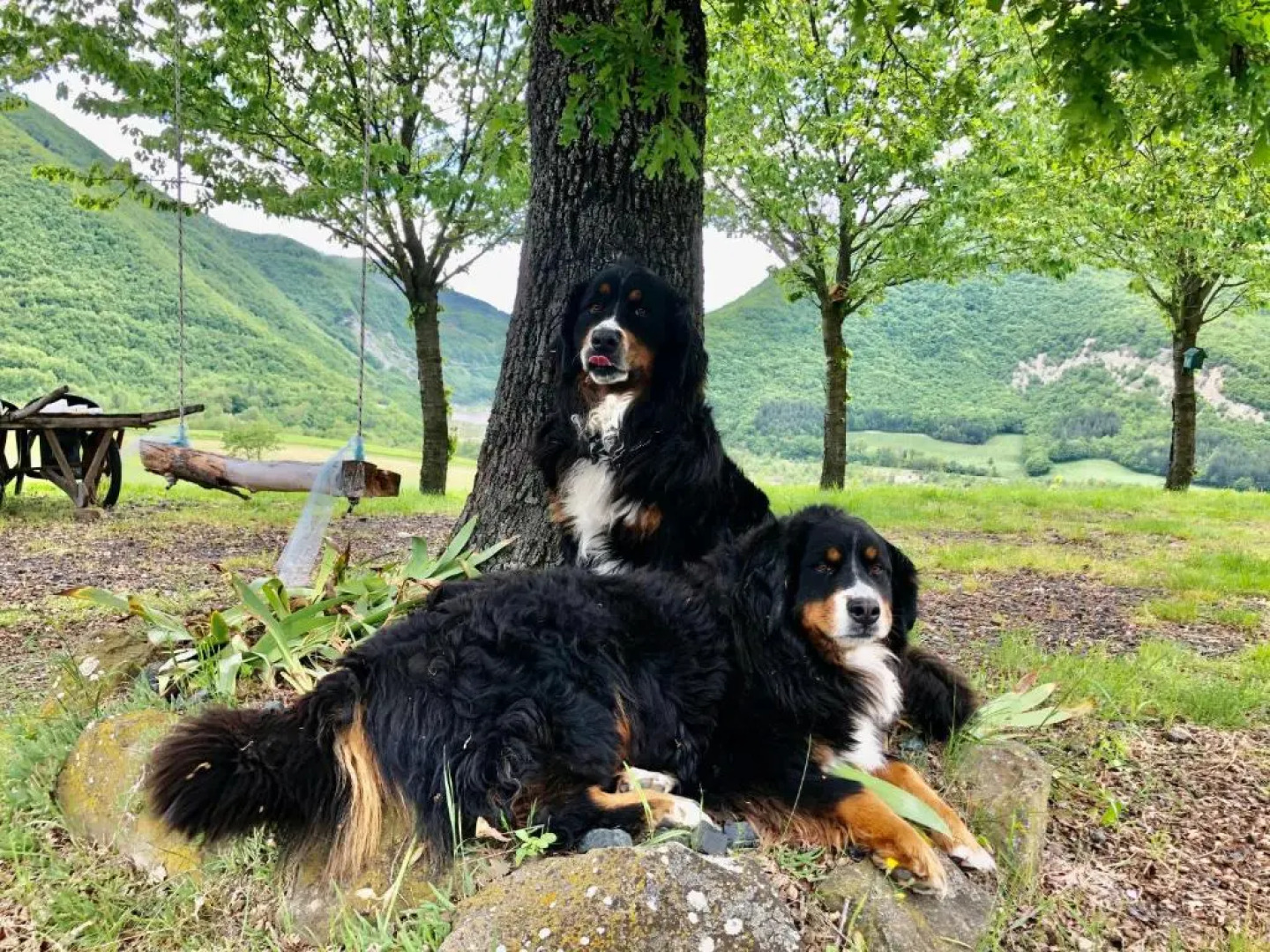 La Locanda nel vento
