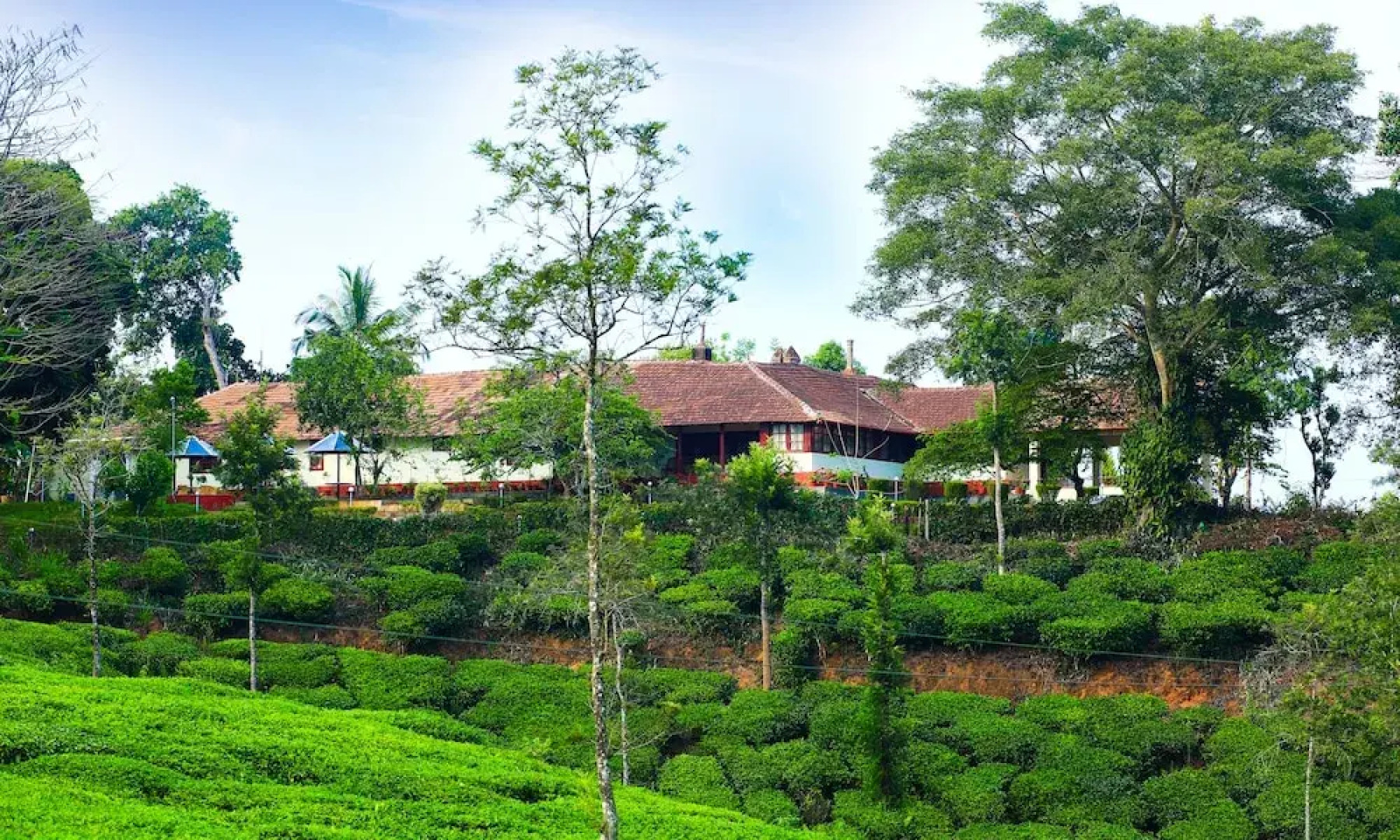 Standard Double Room-wayanad