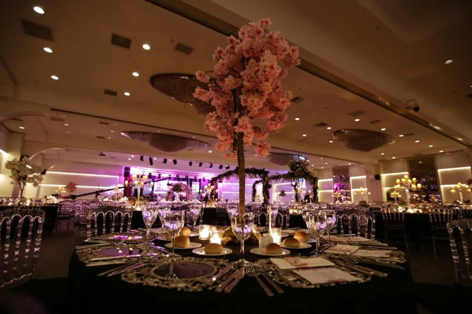 Downtown Ankara Hotel by Accor