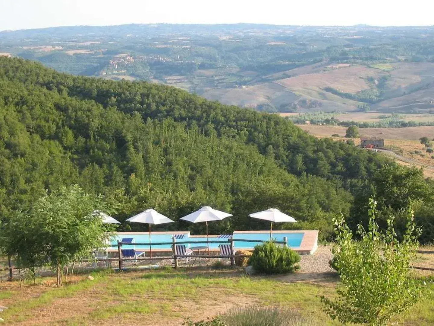 LAlbero Bianco