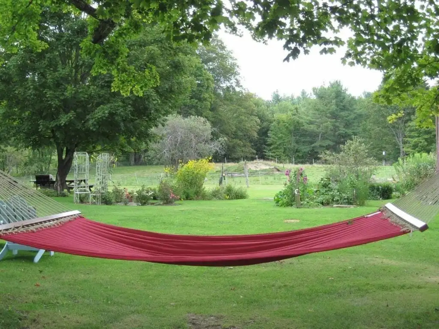 Maple House Bed & Breakfast