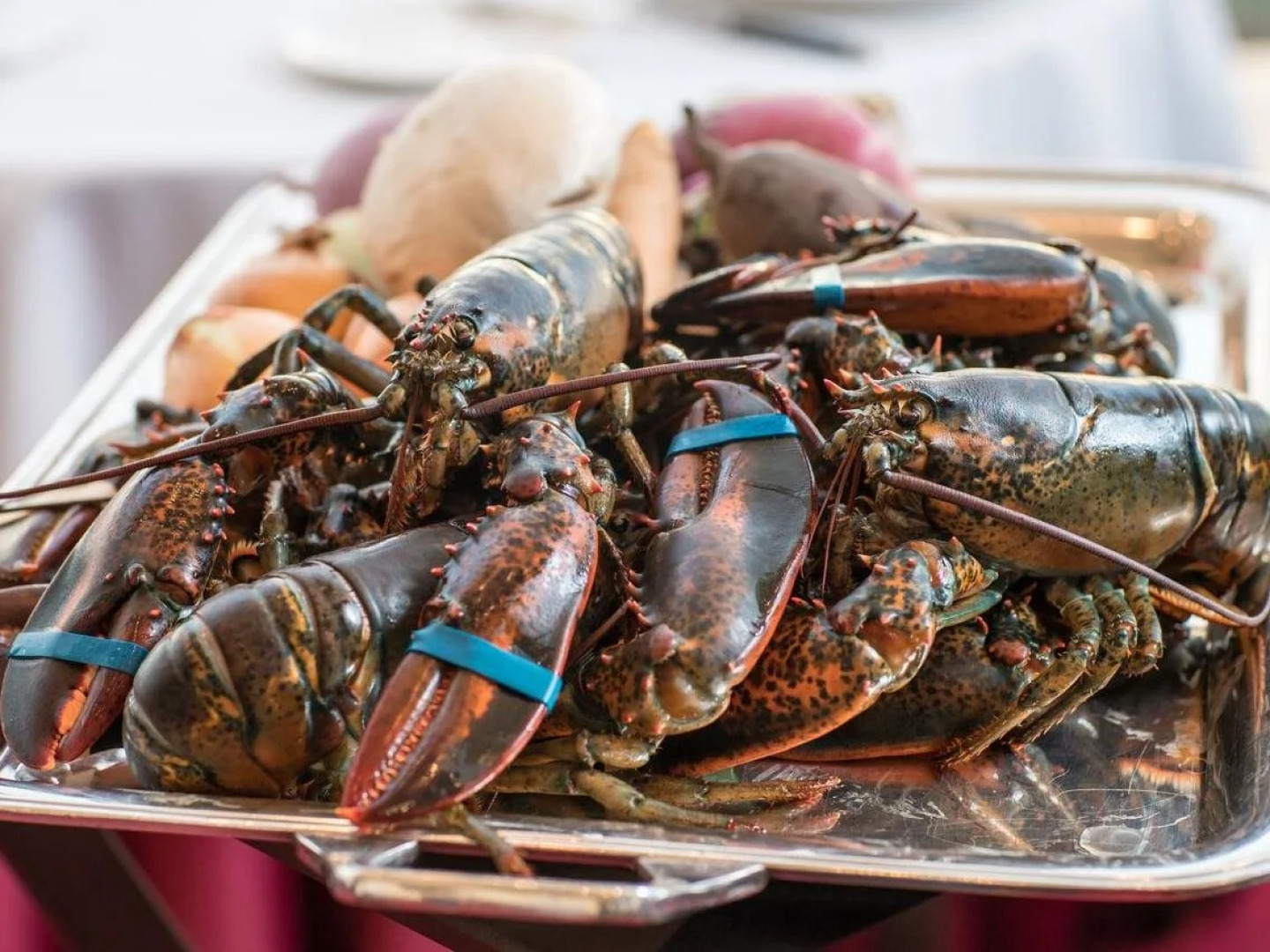 Setouchi Kojima Hotel Kurashiki