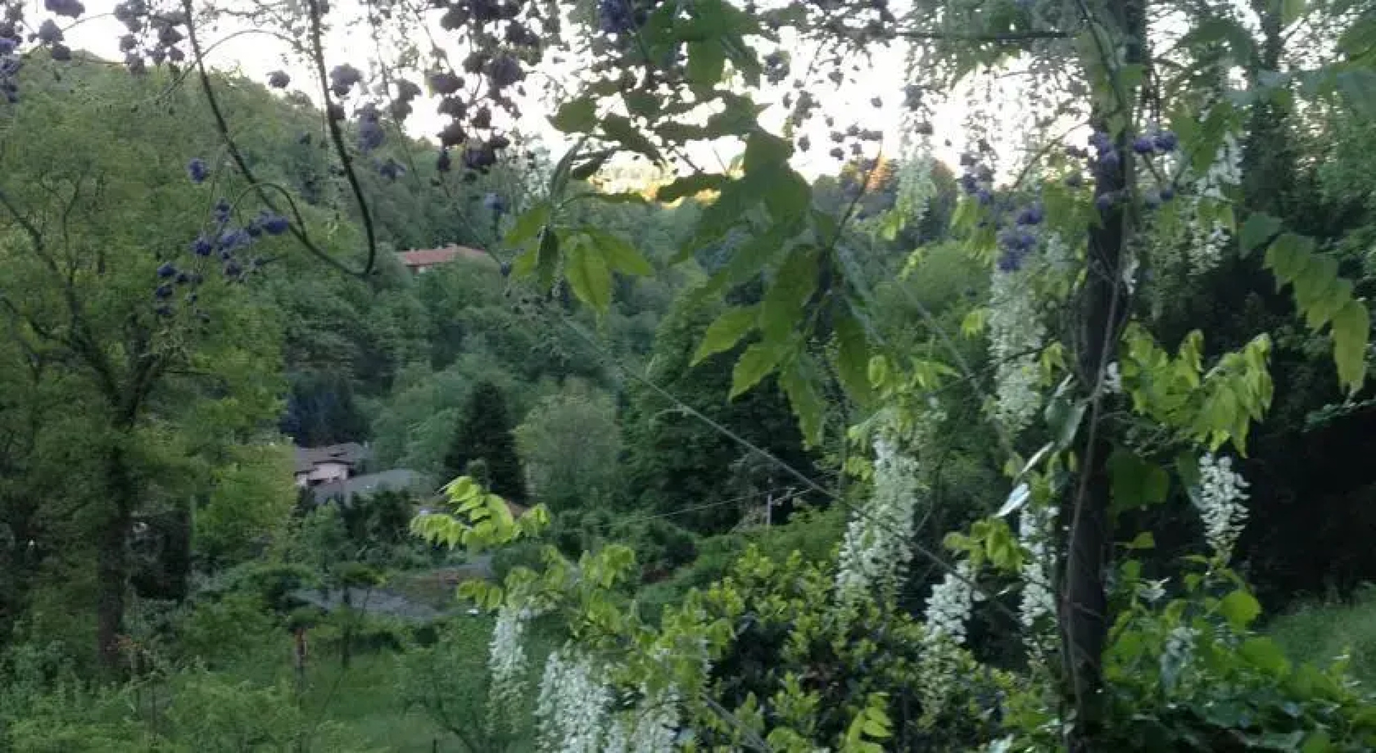 Villa Delle Camelie