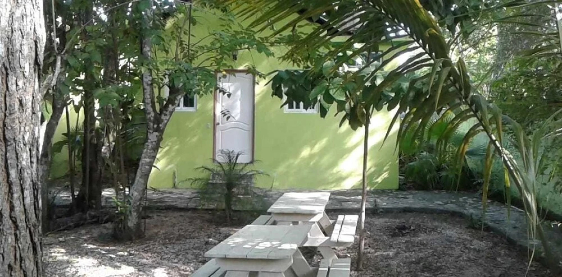 Green Jungle Hotel y Restaurante