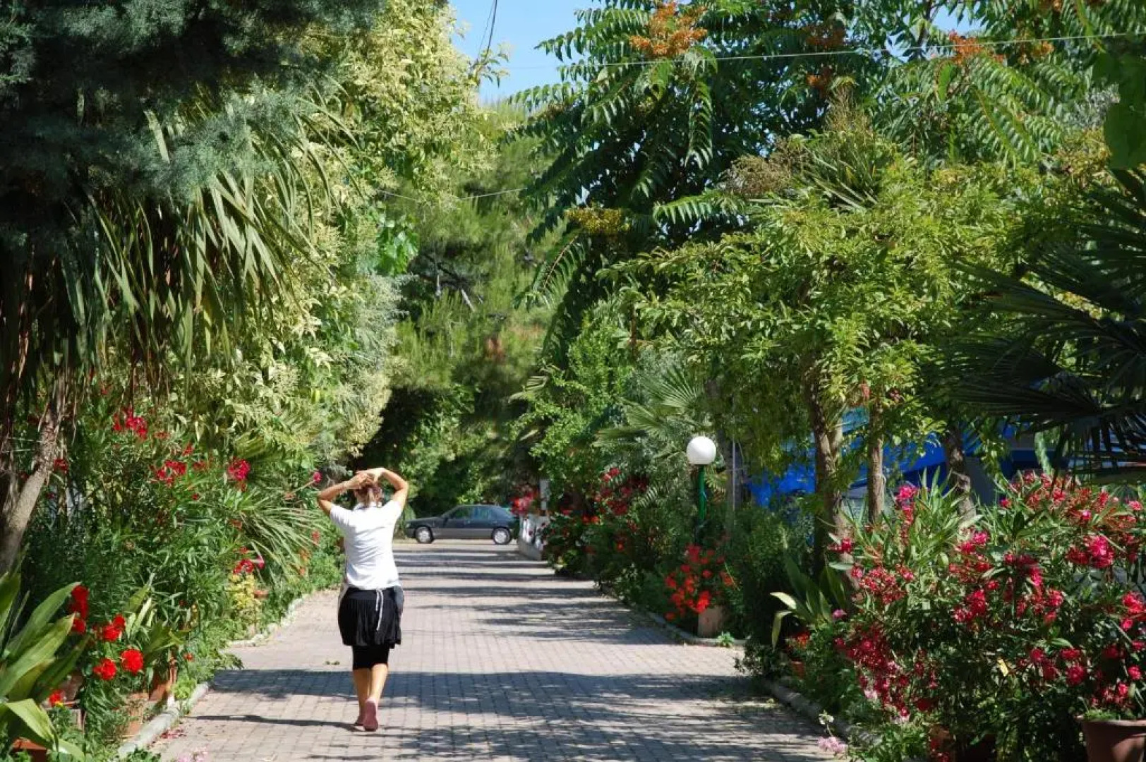 Camping Terrazzo sul mare