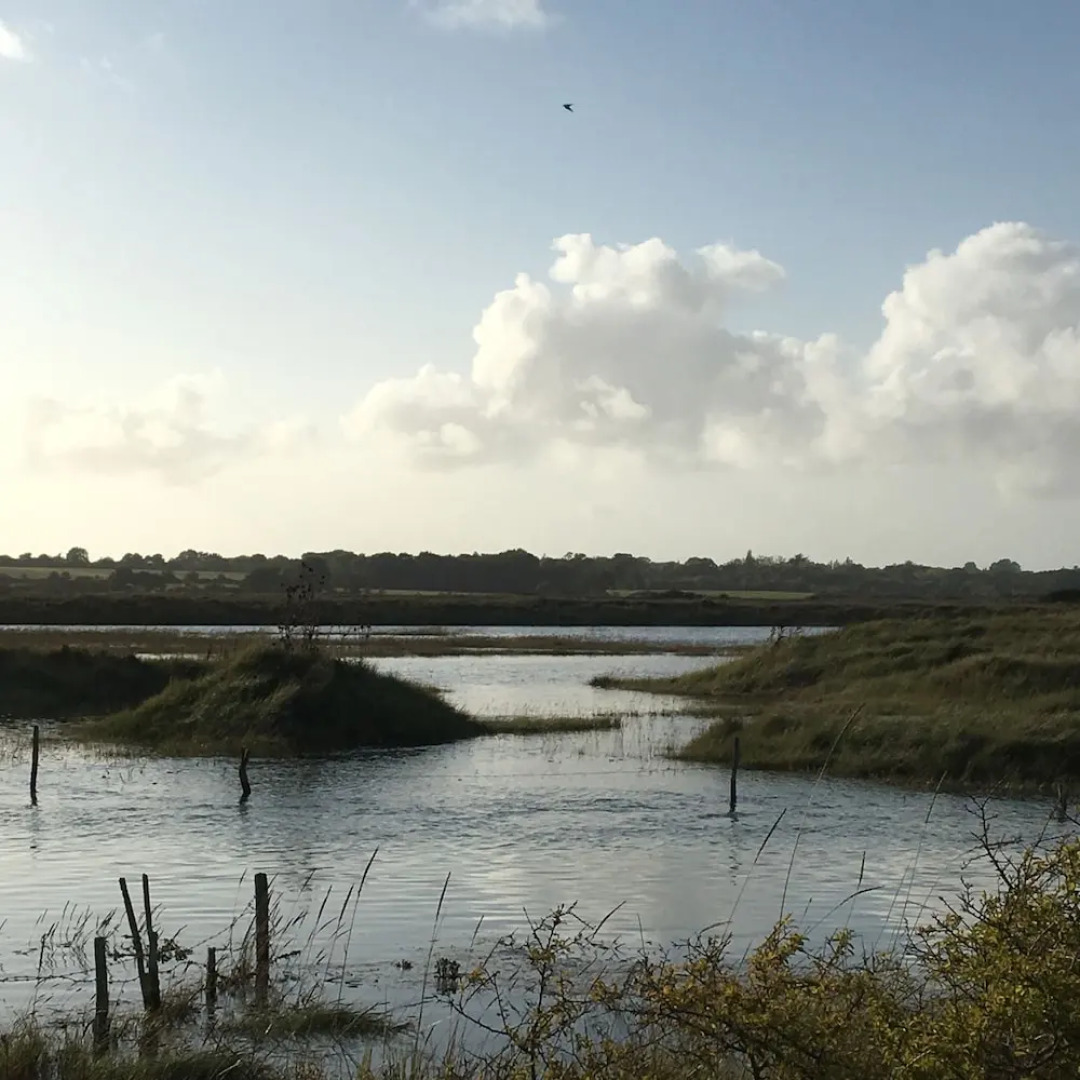 Appartement dans longère au Domaine du Lesty Ambon Damgan