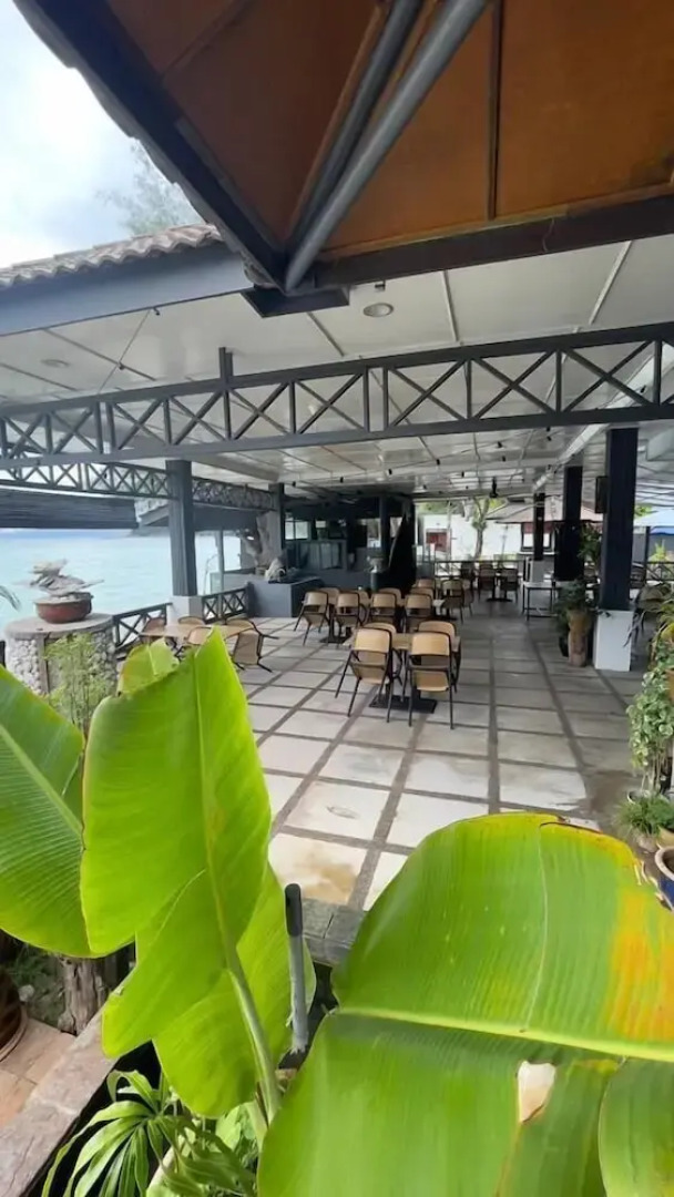 Arwana Perhentian Bluestar