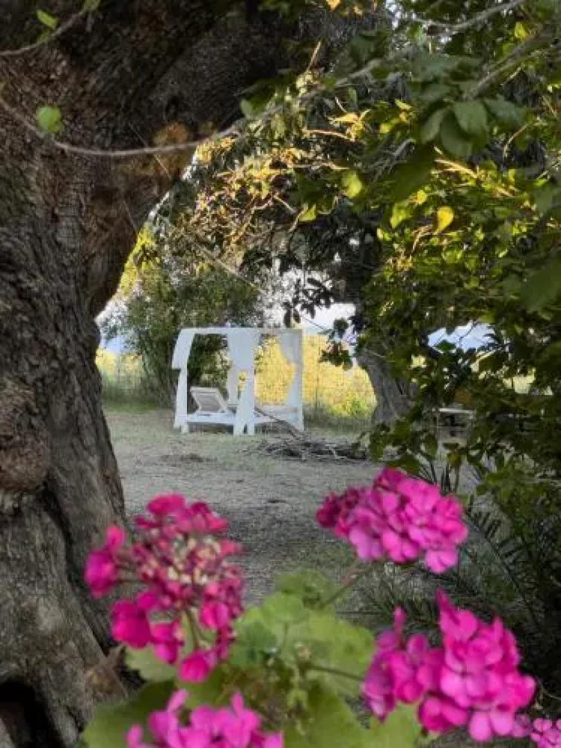 Villa Anta house by the sea