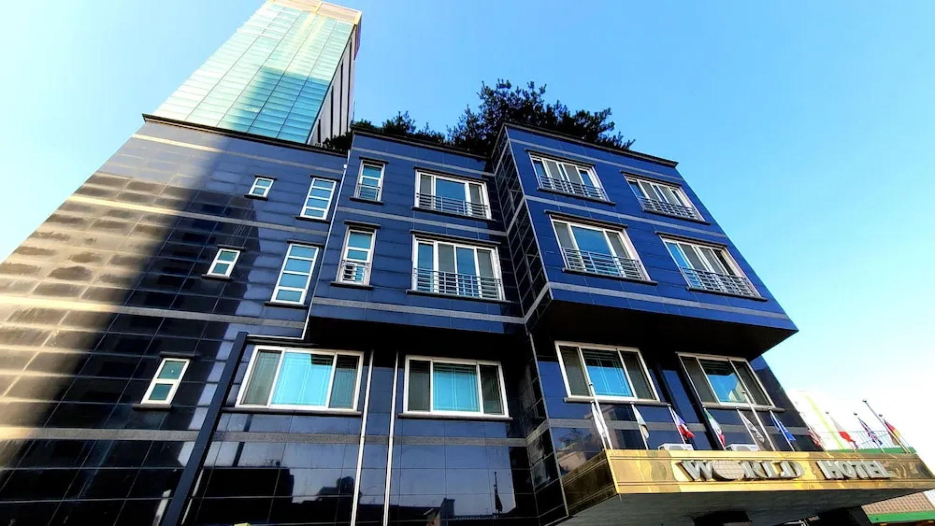 World Tourist Hotel