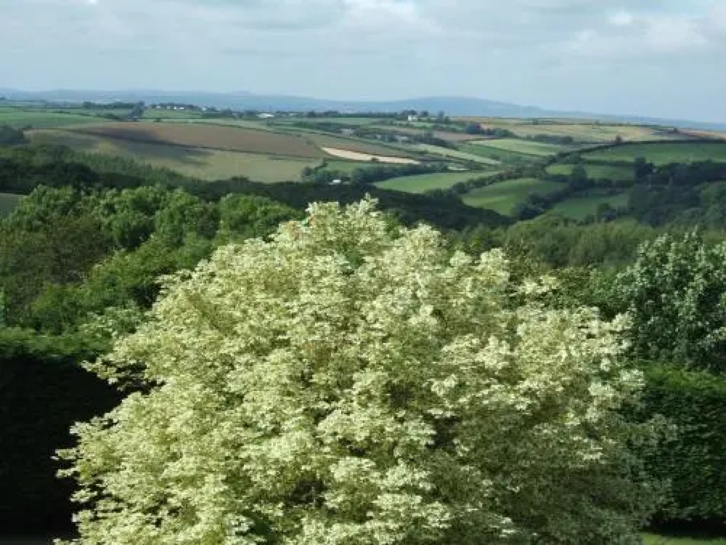 Trelaske Hotel & Restaurant