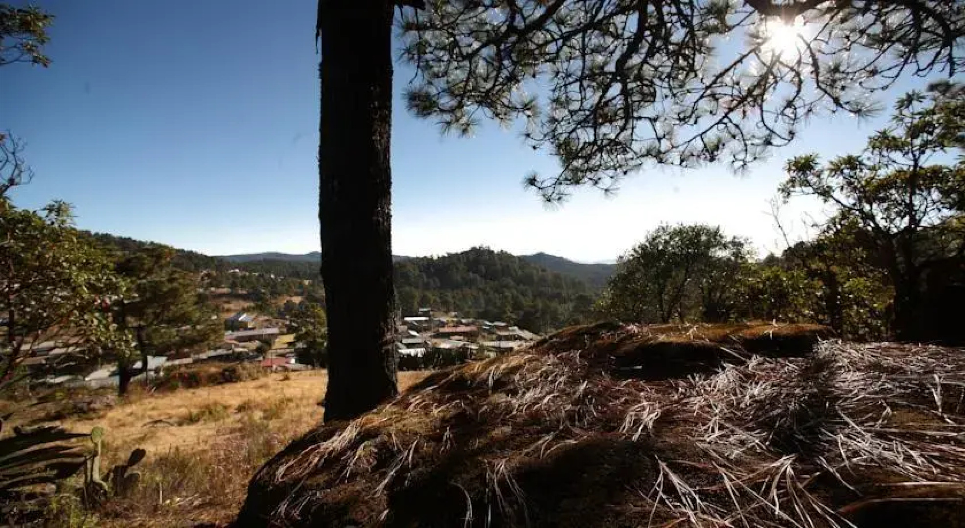 Centro Ecoturístico Cabañas Cuajimoloyas