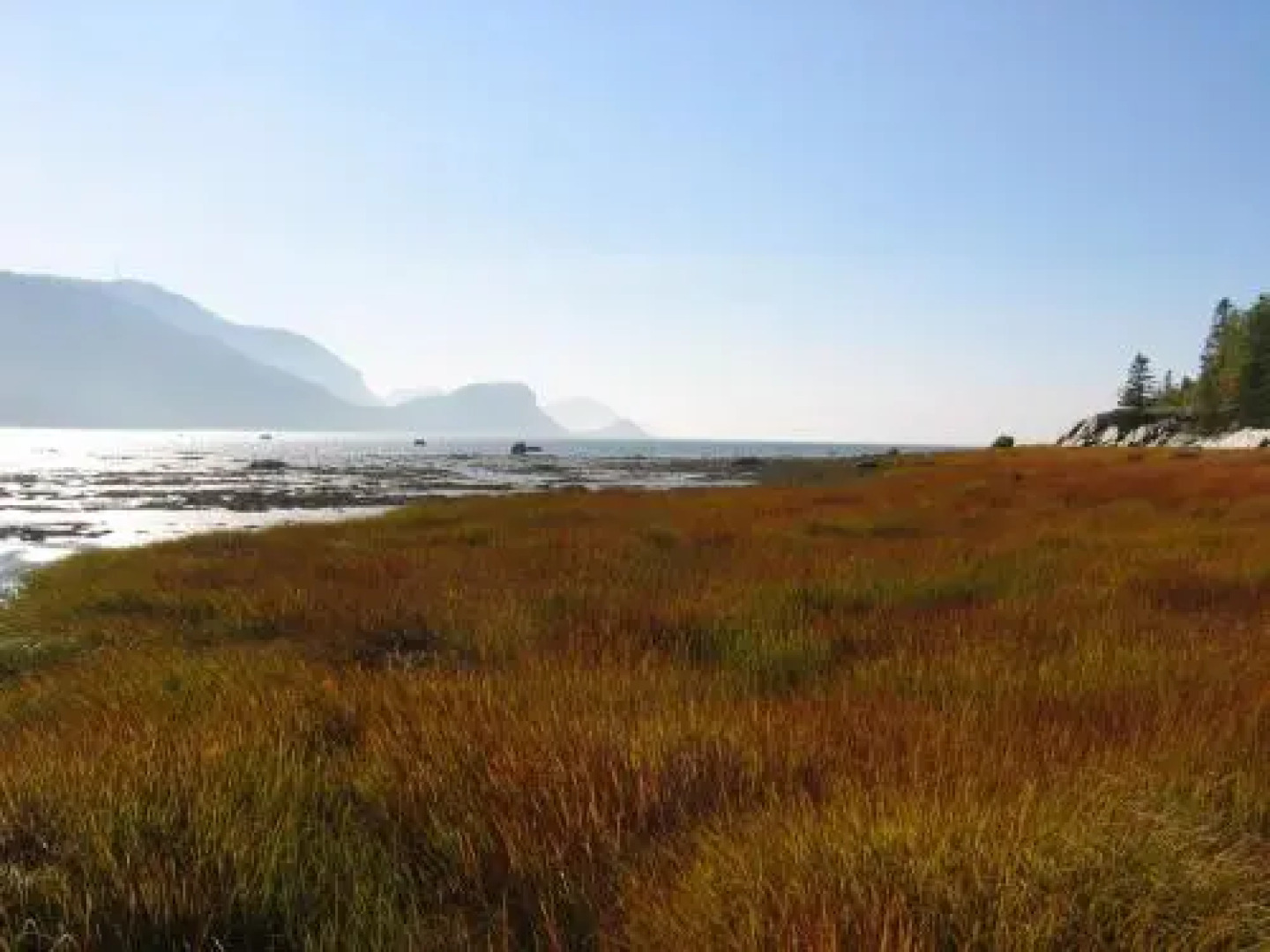 Maison du Photographe