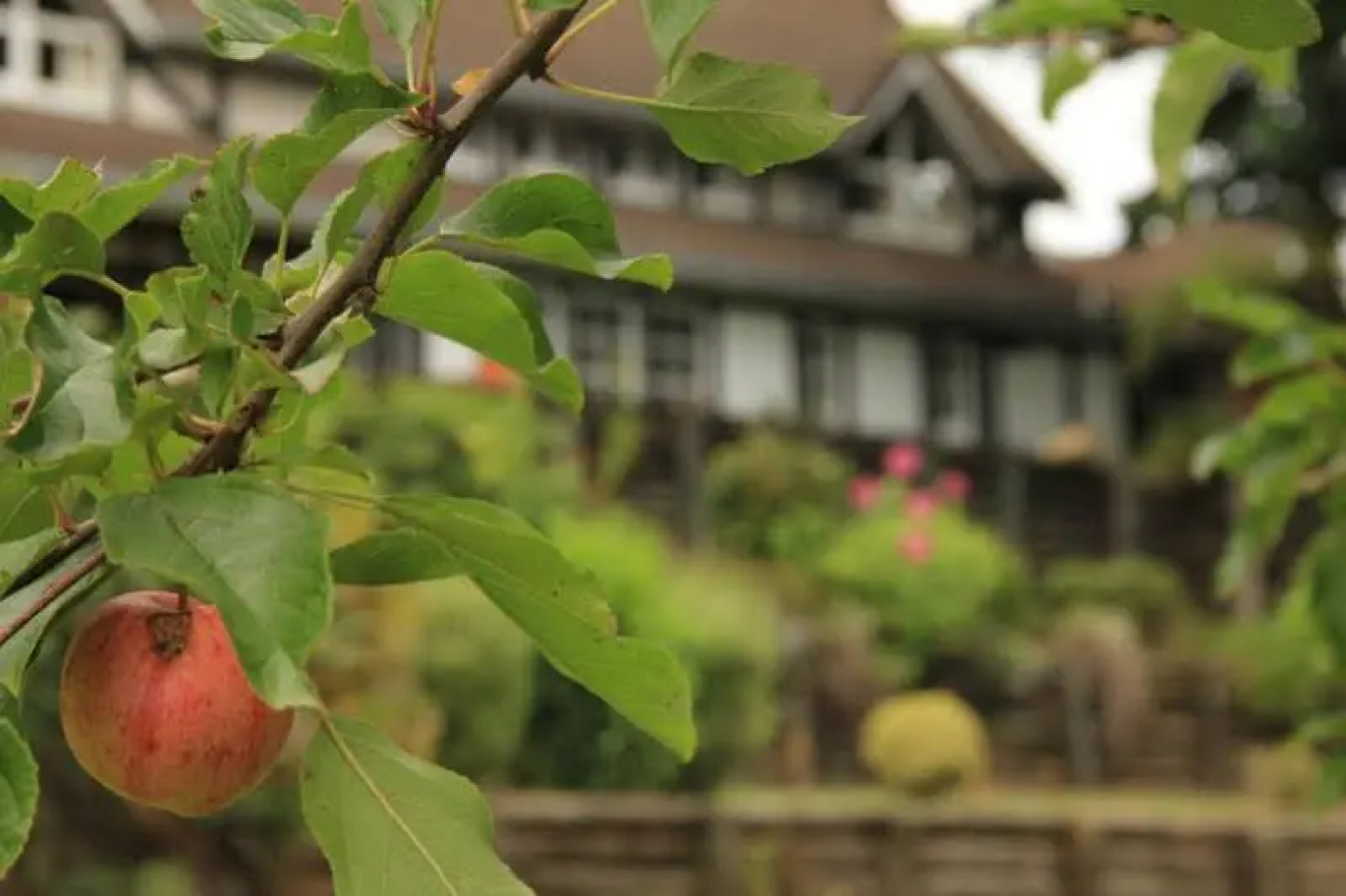 Fantail Lodge Backpackers