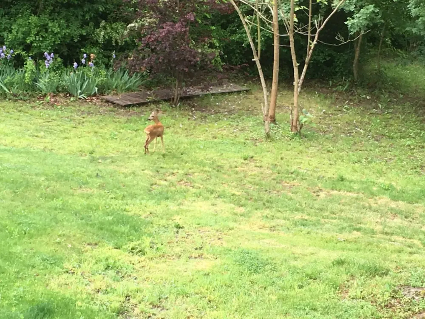 Moulin de Jouenery et Spa