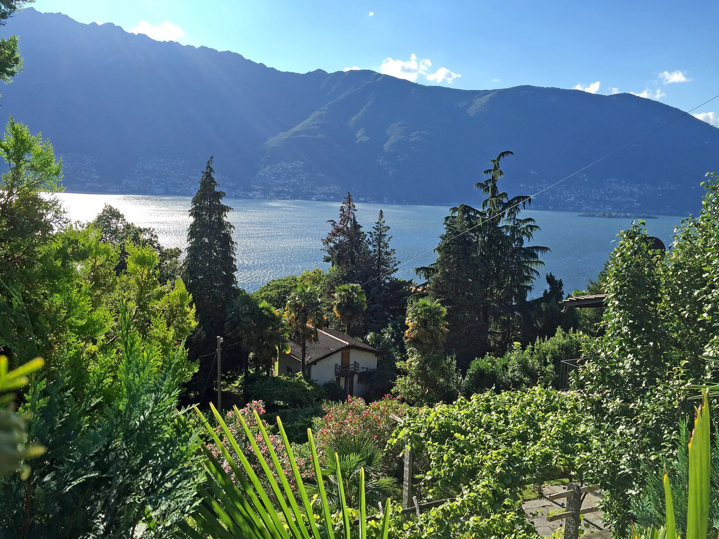 Holiday Home Pipistrello