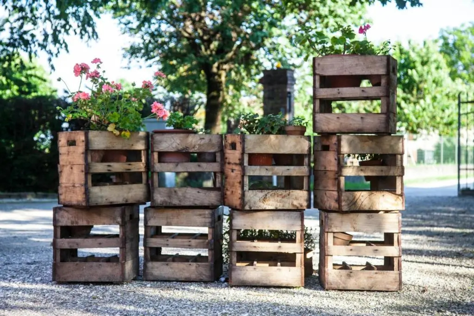 Agriturismo Le oche selvatiche