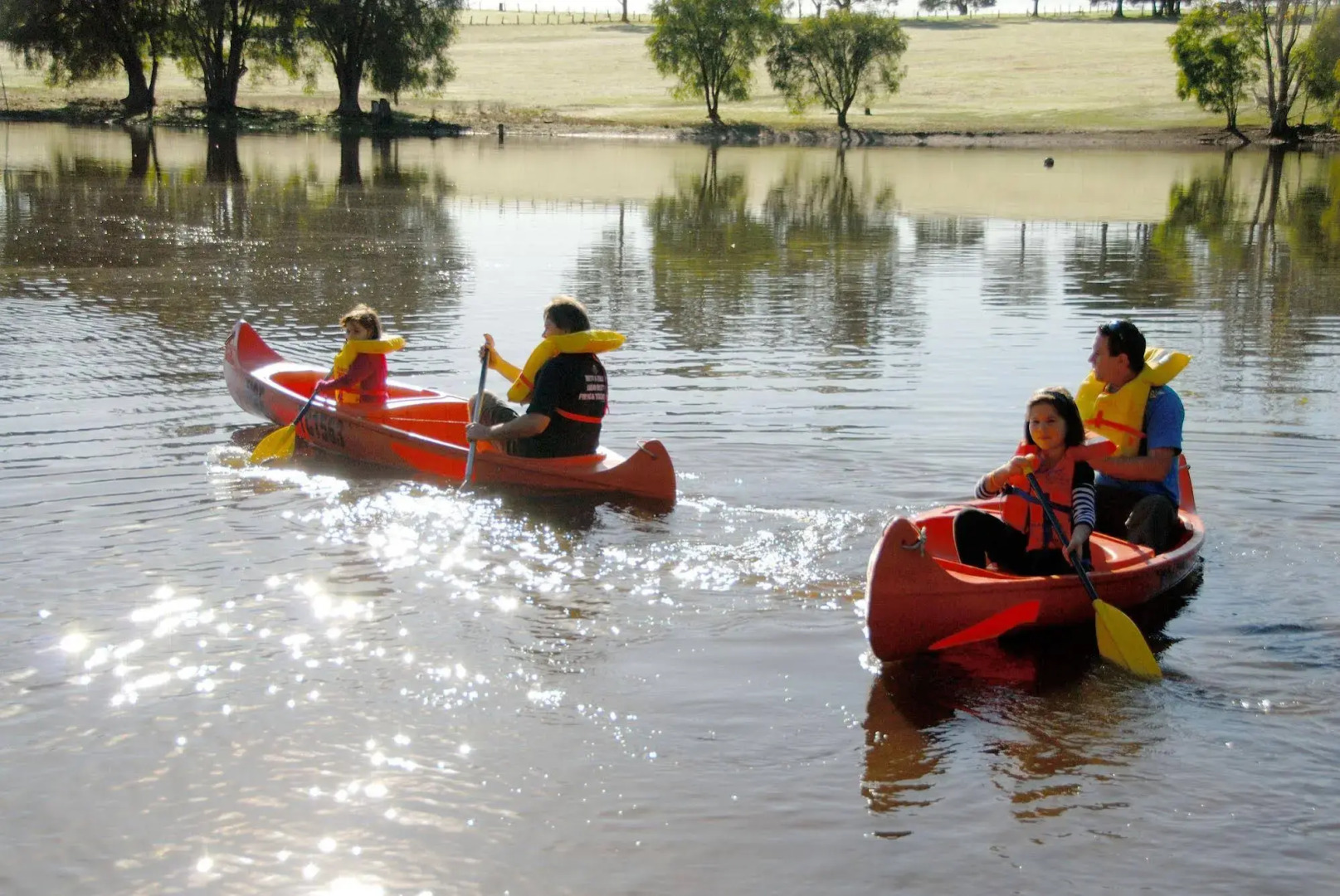 Diamond Forest Farm Stay