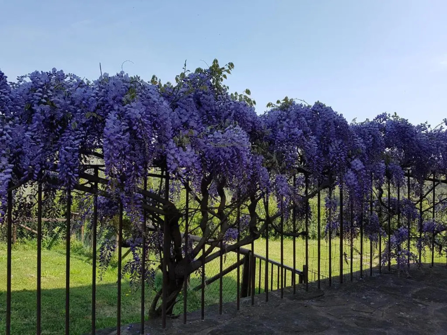 Agriturismo Il Pintello
