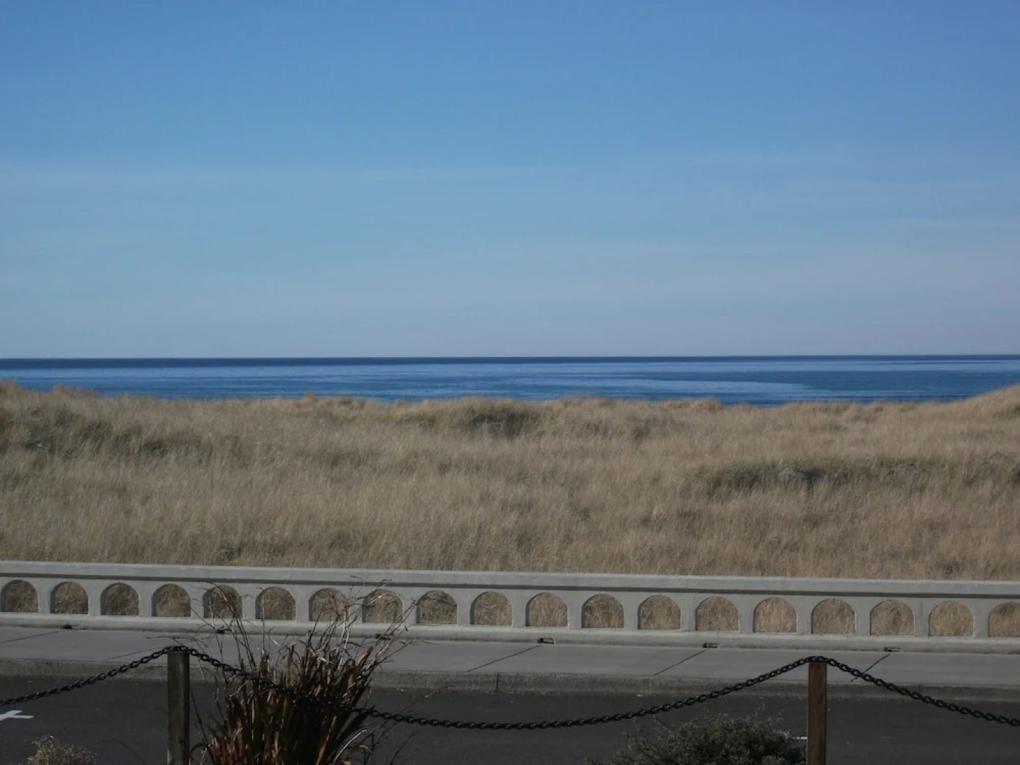 The Tradewinds Condo/Hotel