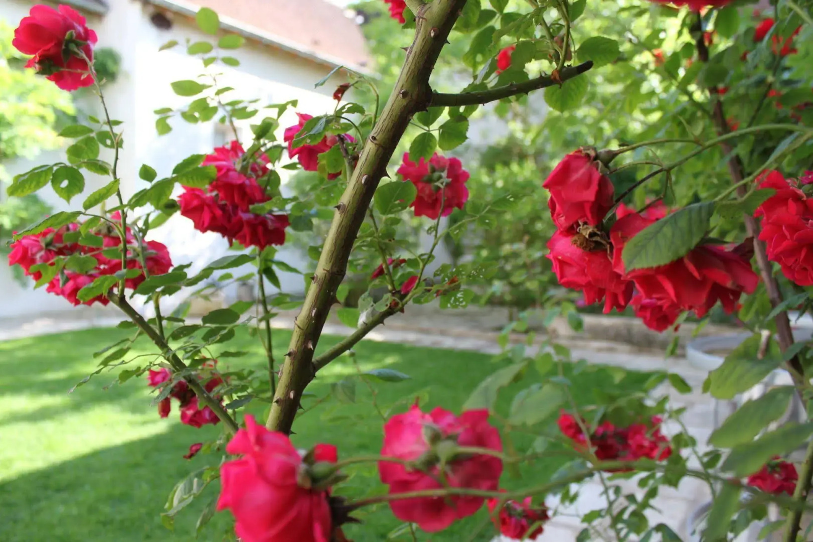 Chambres d'hôtes Saint Nicolas