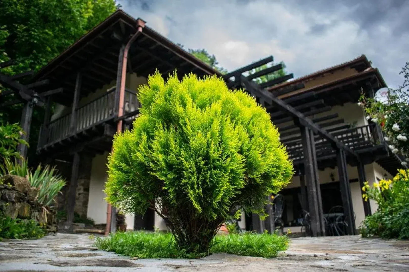 Vila Verbena