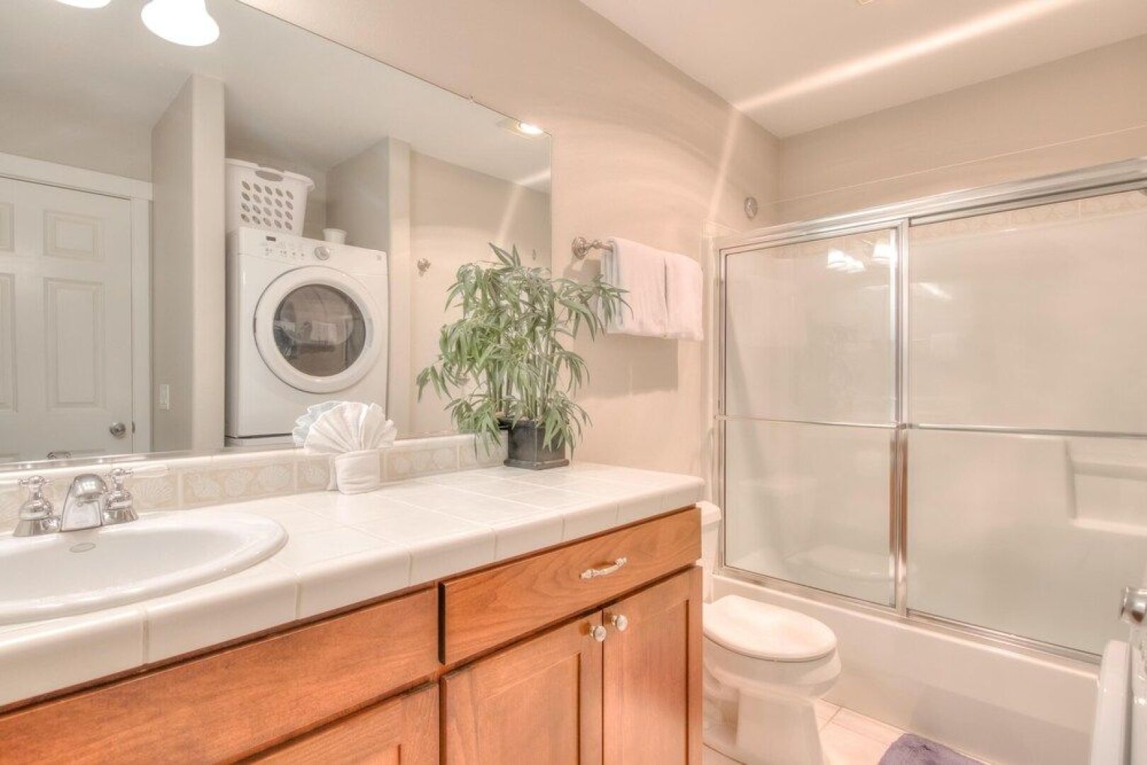 Sea Star Bella Beach