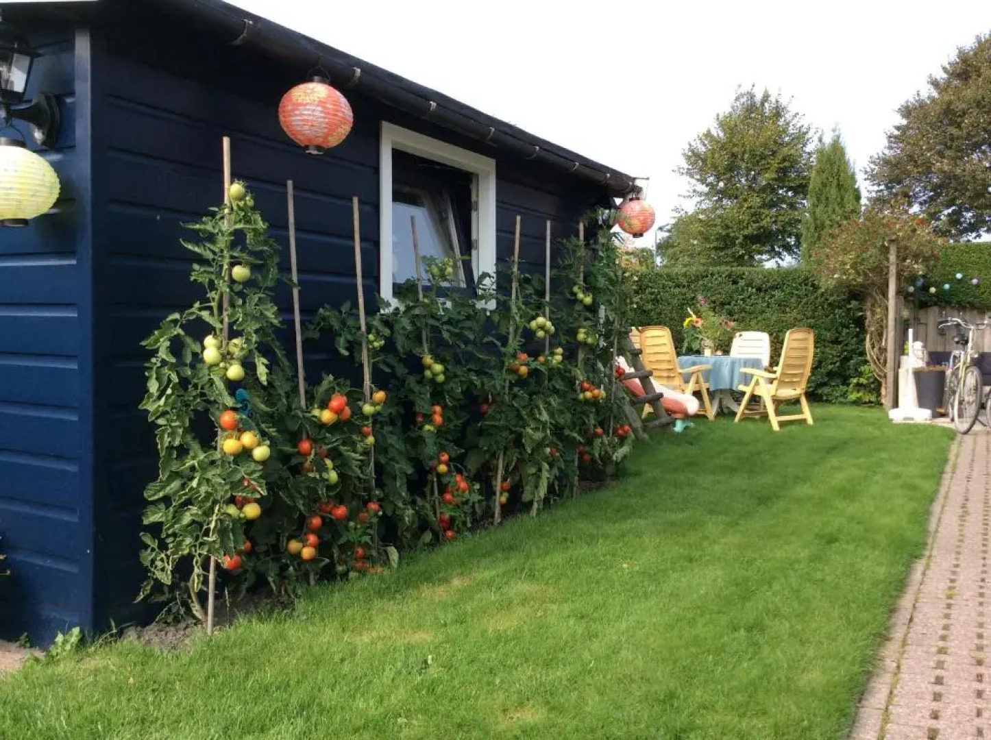 Holiday House Sunny Terrace