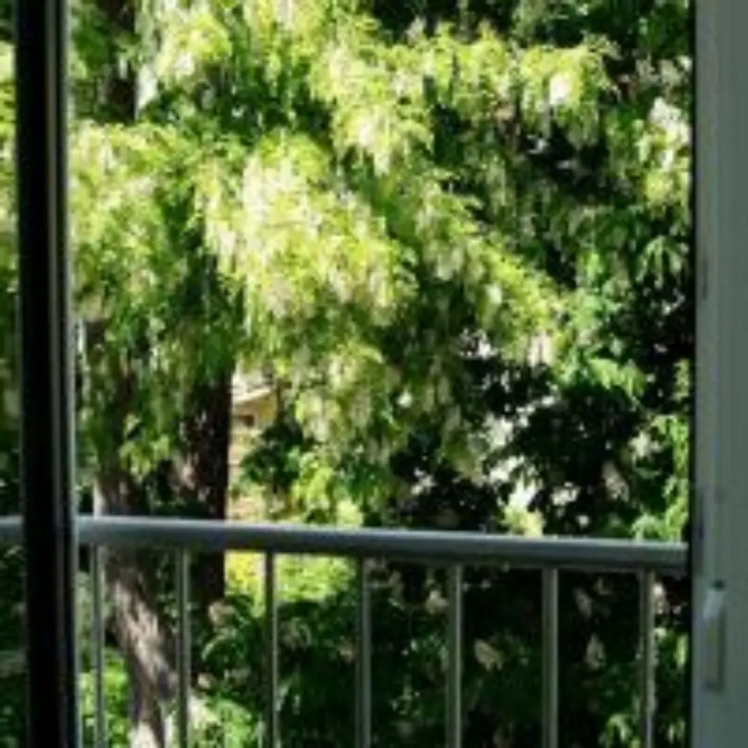 Alte Stadtmauer Apartment