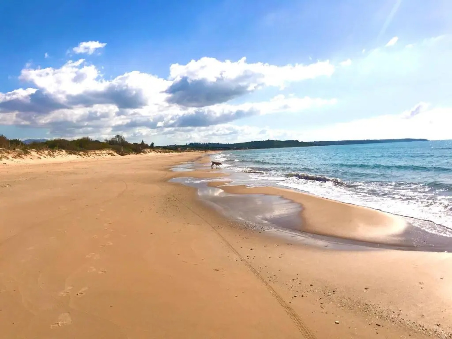 Apartment La Conchiglia