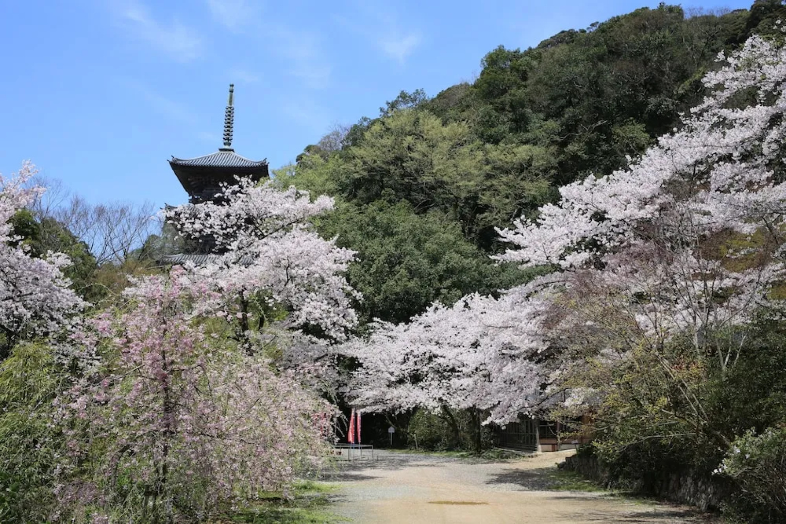 Koyokan