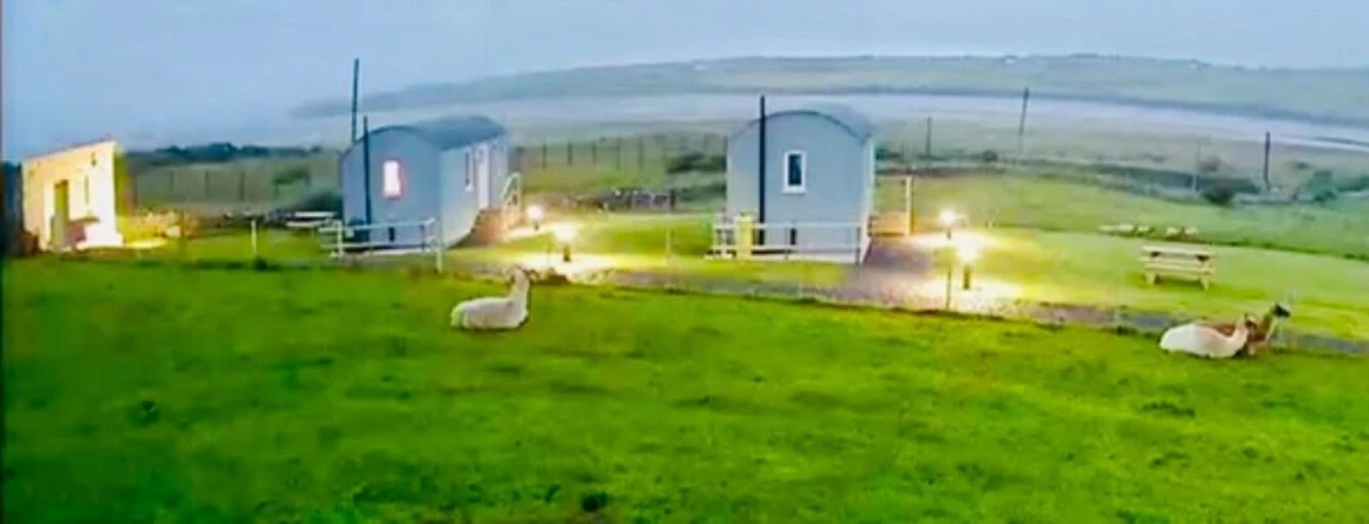 The Snuggly Sheep Shepherd Hut Campview Farm Stay