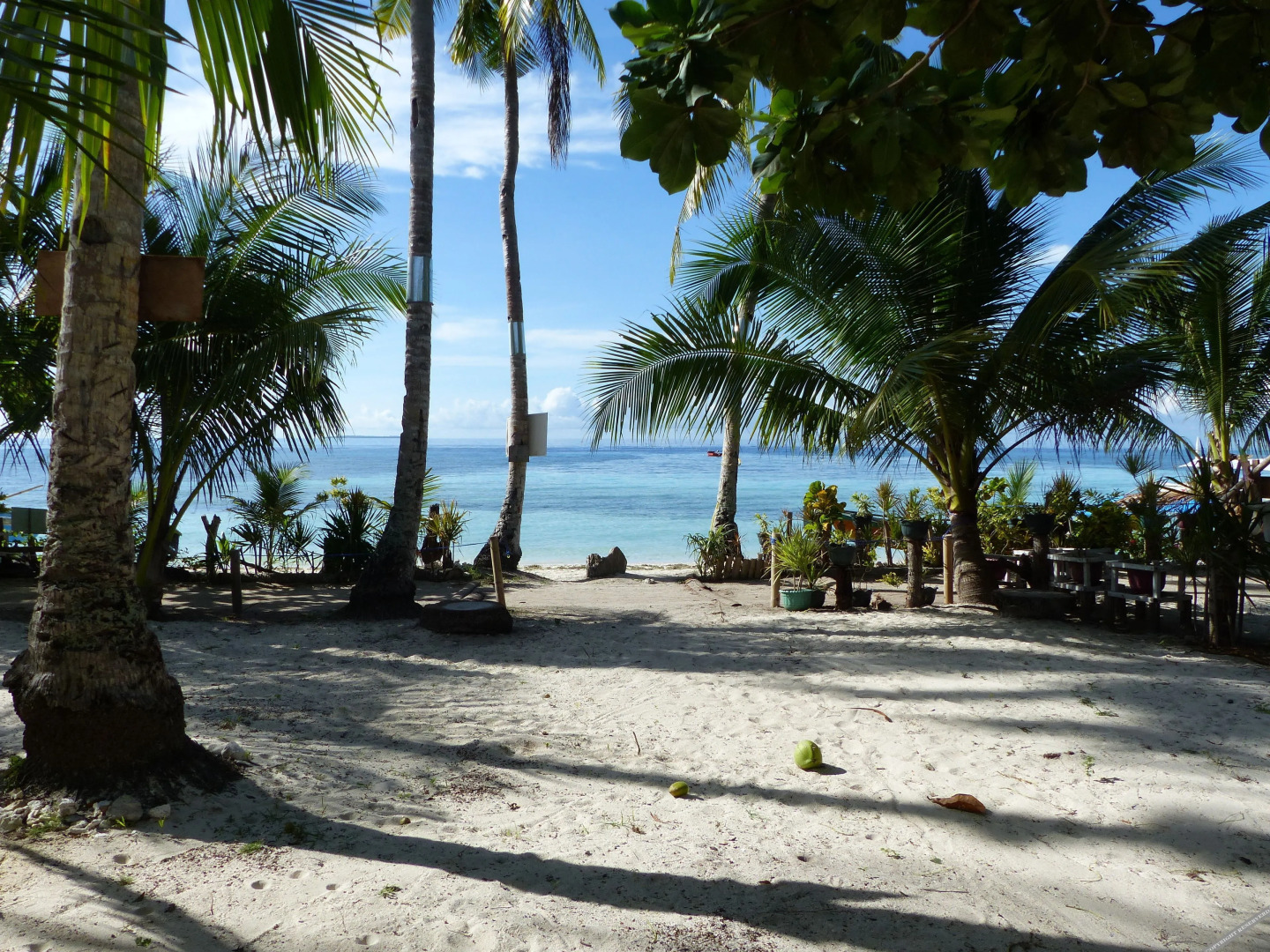 D&B Bluestar Beach Resort