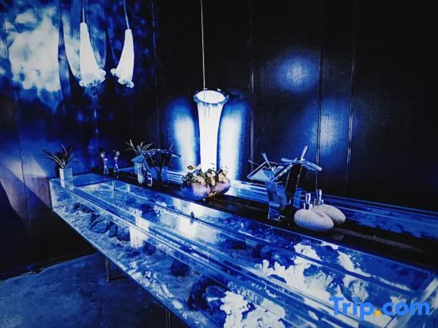 Ningbo The Study Resort