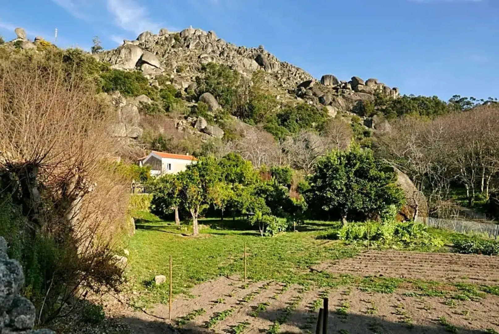 Quinta de São Pedro de Vir-a-Corça em Monsanto