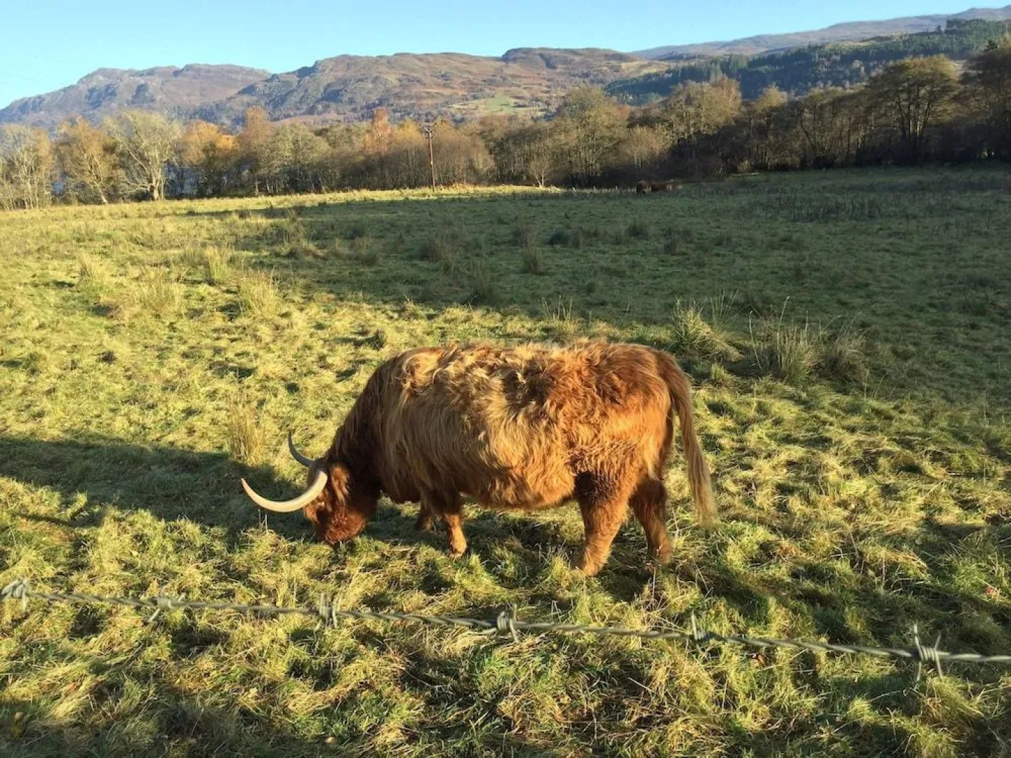 Rose Cottage Bed & Breakfast