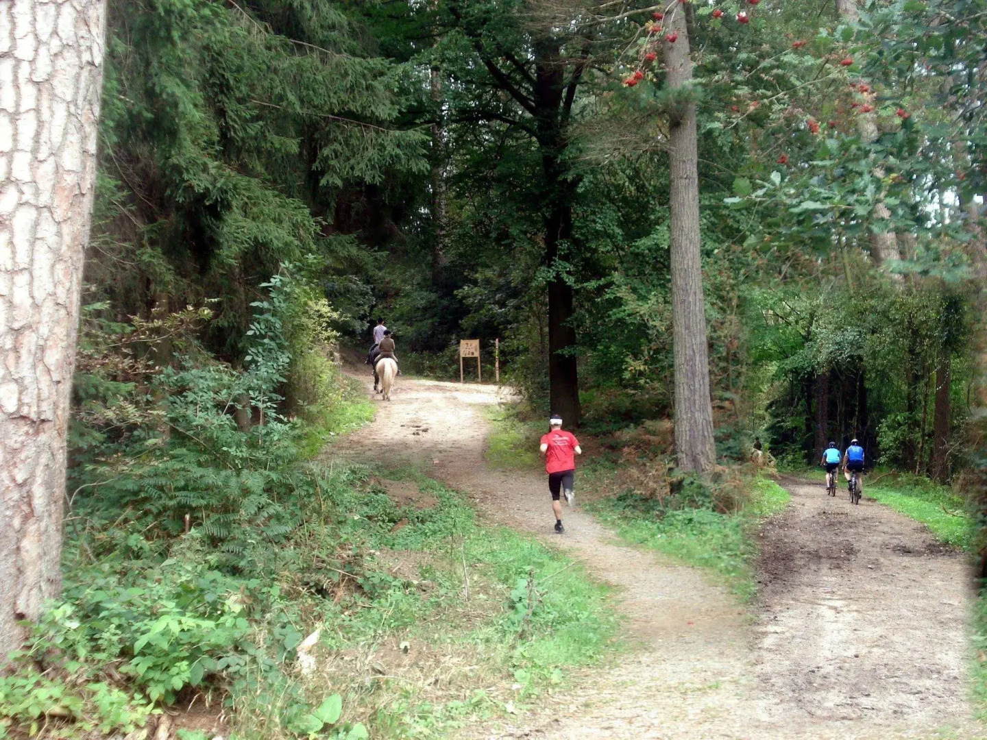 Hotel Restaurant Tychon