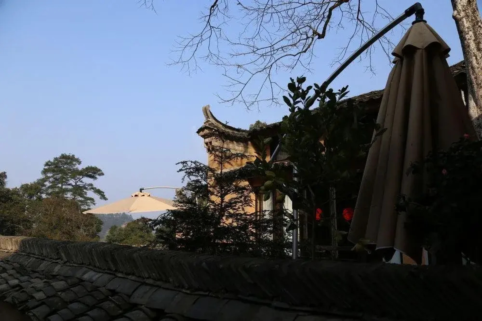Yangjiatang Seclusive Genealand