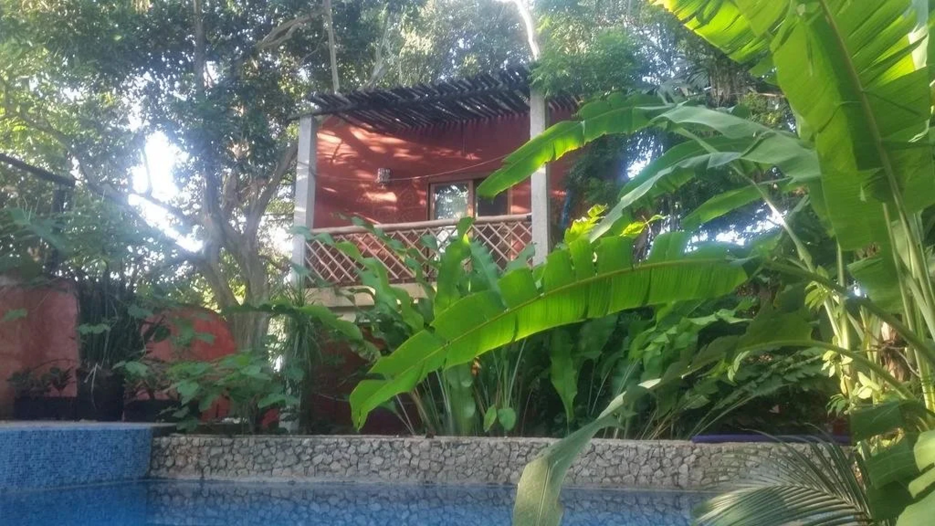 Casa Axis Mundi Raw and Vegan B&B