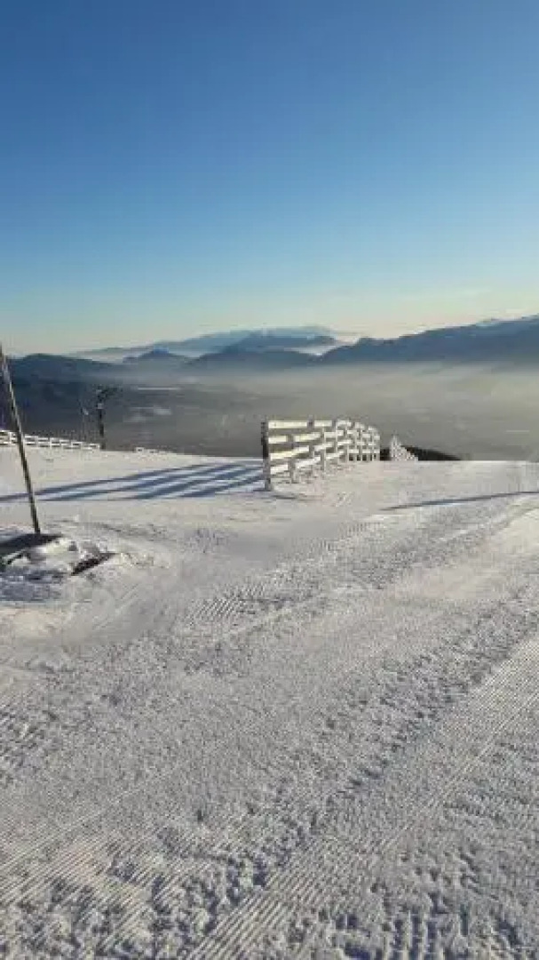 Modern and cosy apartment in city center