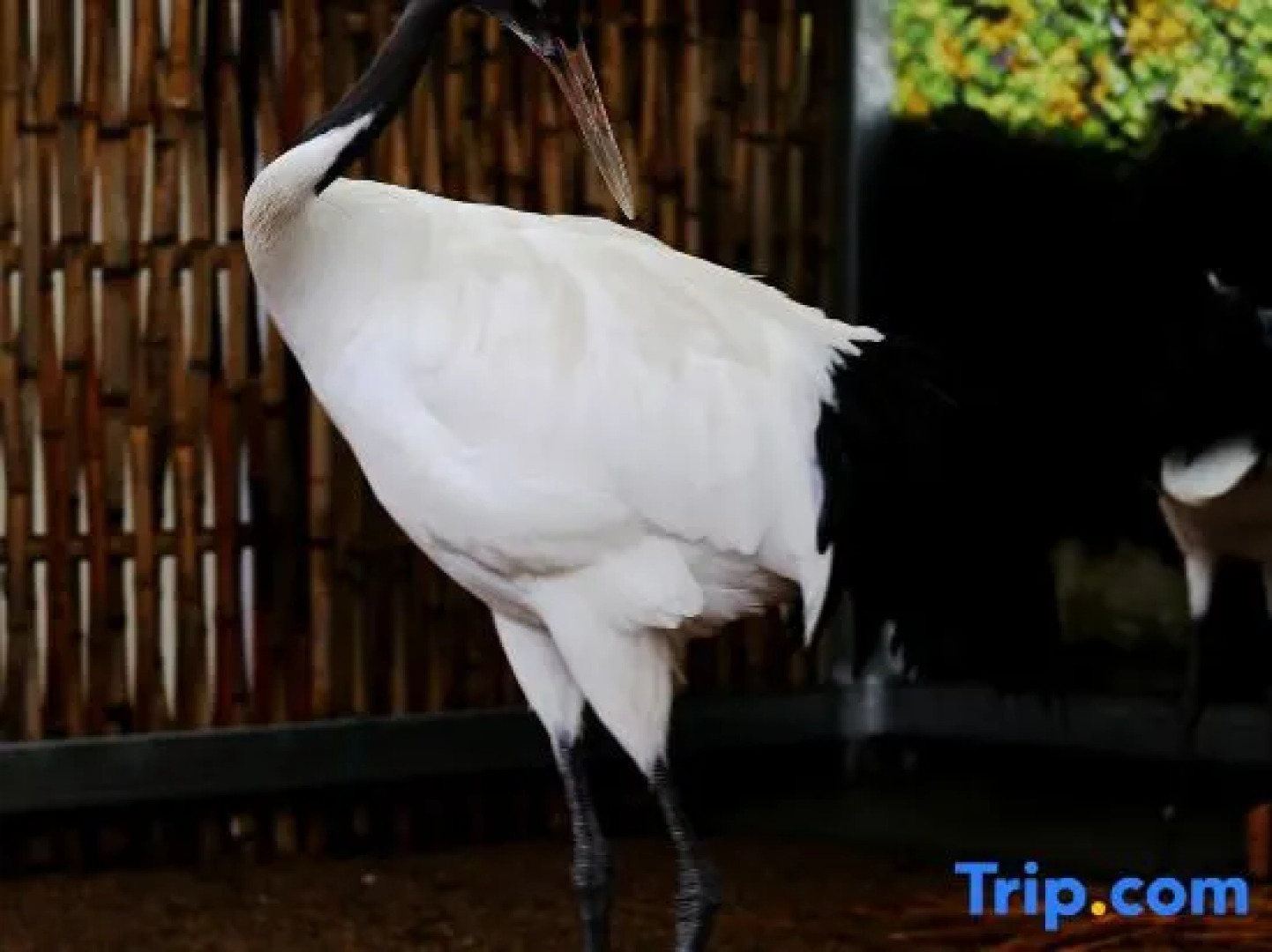 Tiantai Hot Spring Resort