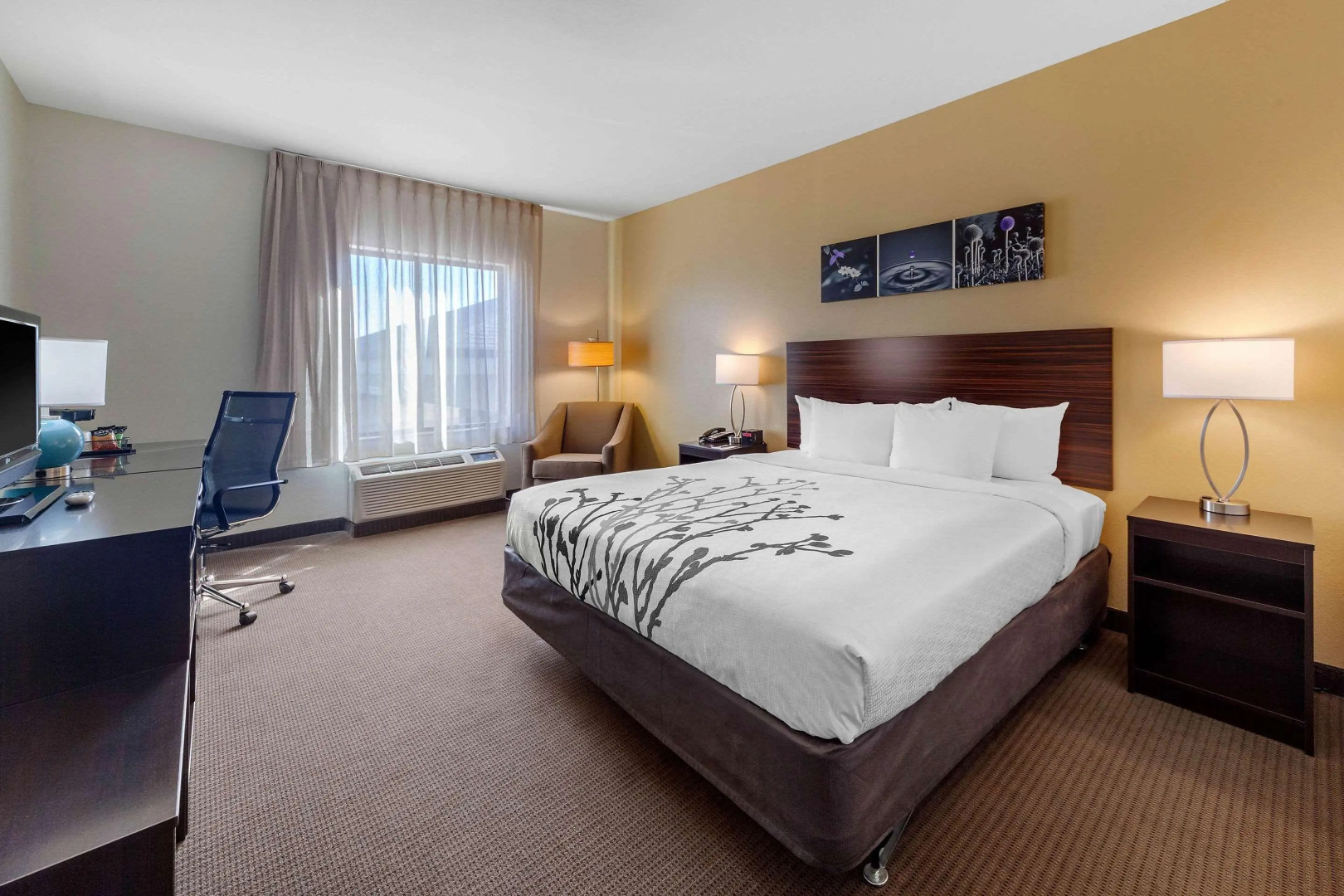 Sleep Inn & Suites Norman near University