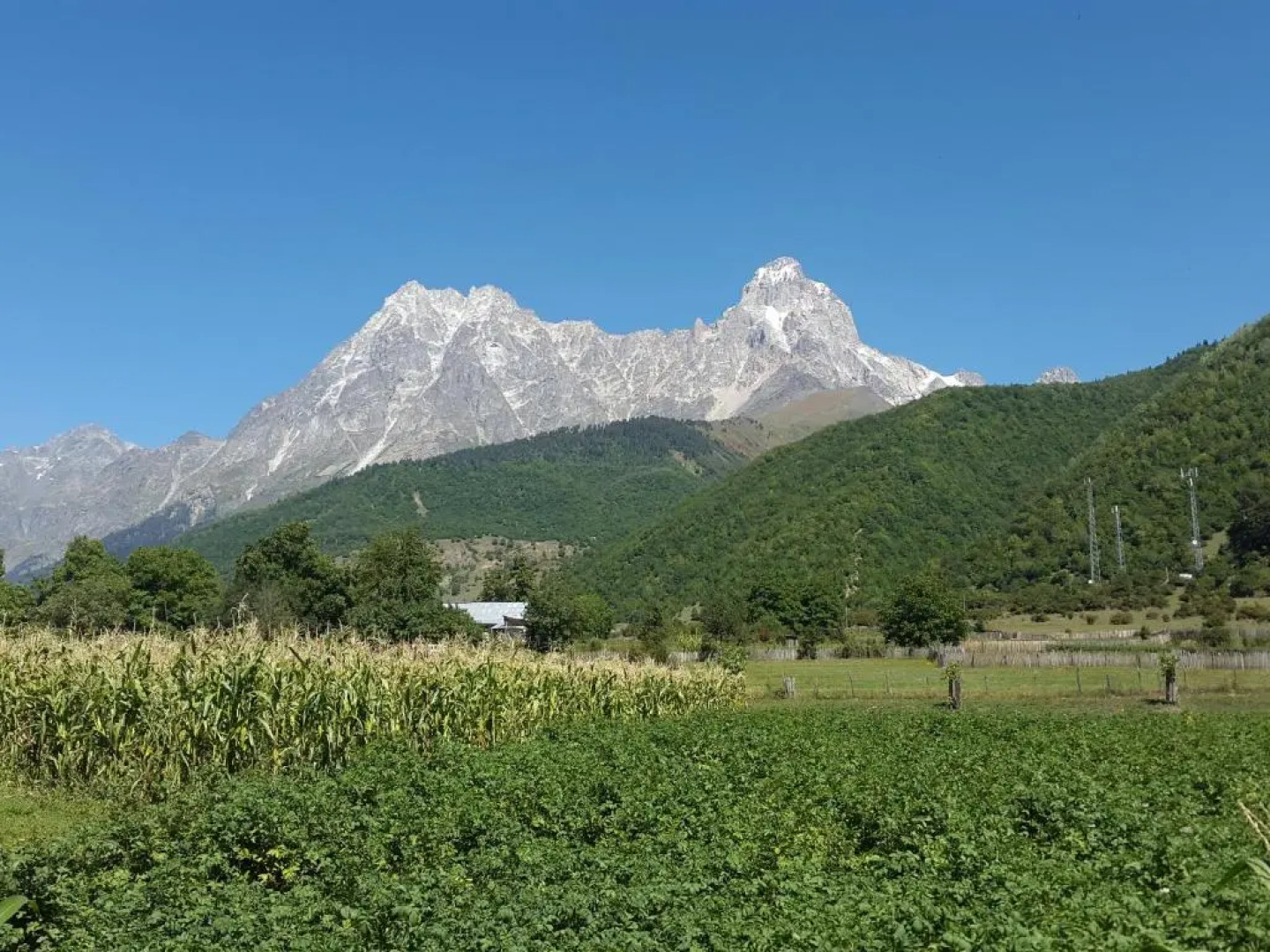 Guest House Vivaushba