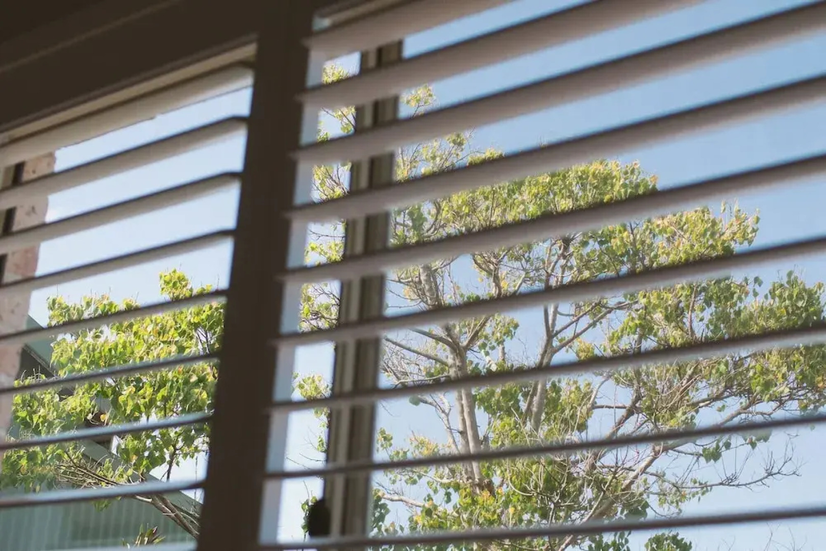 42 Banksia by the BnB Collection