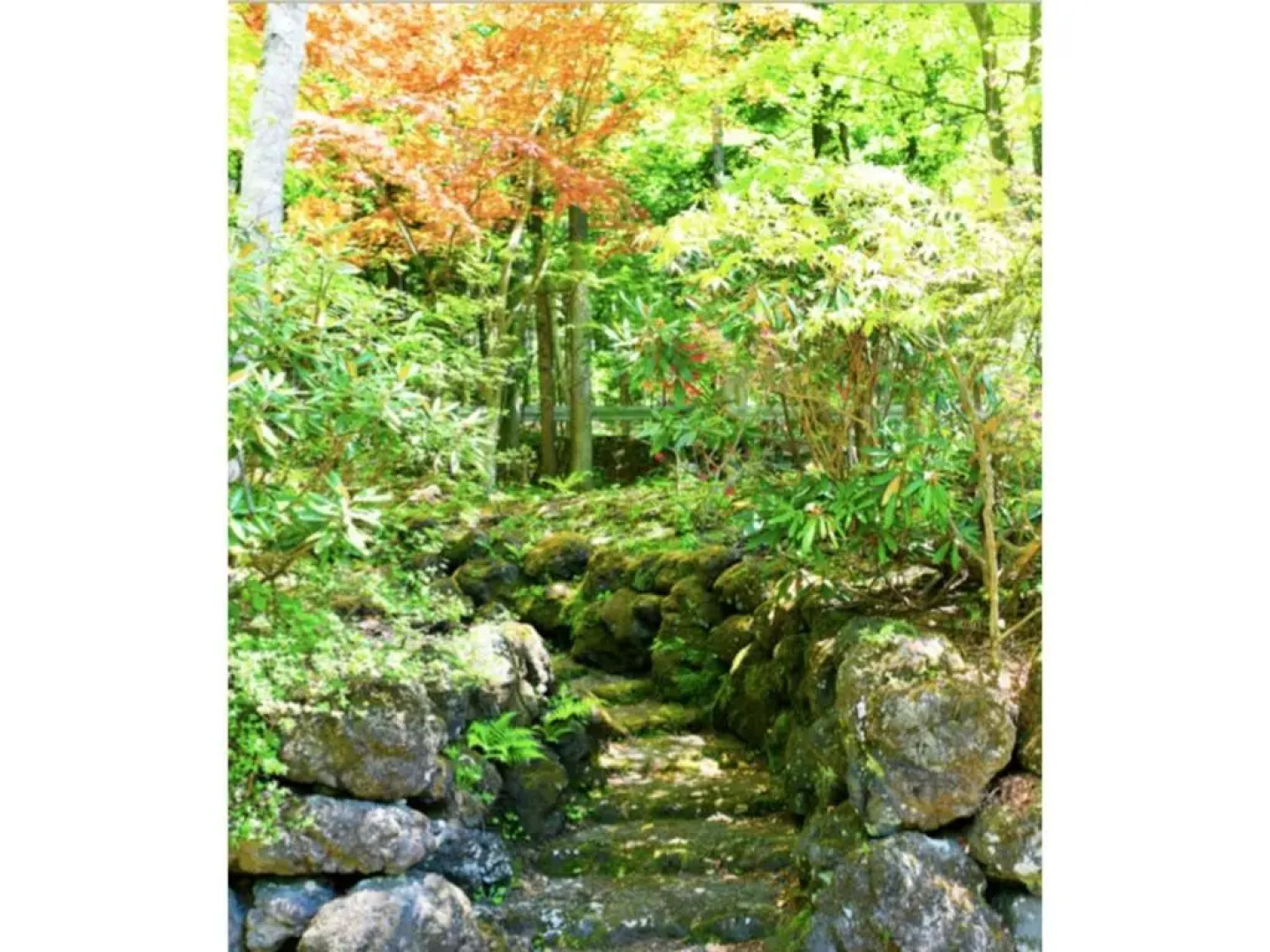 Polar Resort MinamiKaruisawa1 - Vacation STAY 18141v